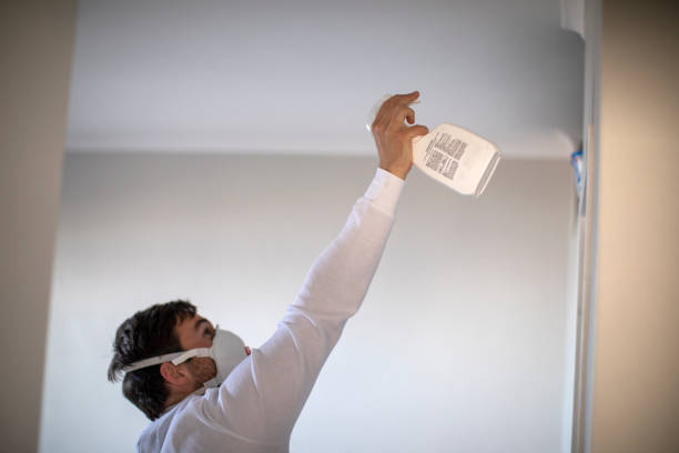 Best Mold Removal Specialists  in Sharonville, OH