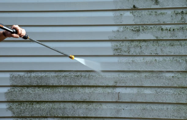 Best Fast Mold Removal  in Sharonville, OH