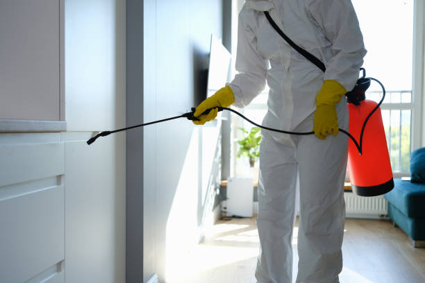 Best Black Mold Removal  in Sharonville, OH