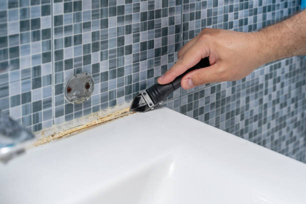 Best Office Mold Removal Services  in Sharonville, OH