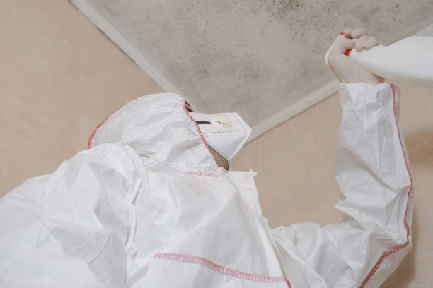 Best Commercial Mold Removal  in Sharonville, OH