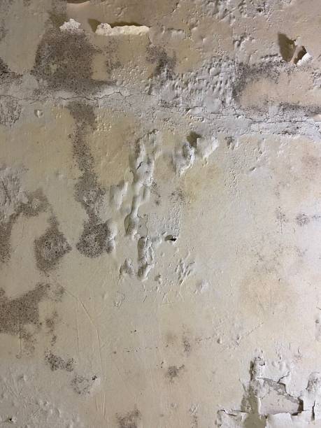Best Mold Testing  in Sharonville, OH